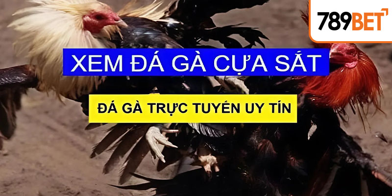 Kiến thức nhập môn cơ bản về trò chơi